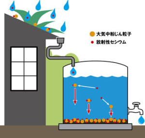 図2　雨水タンク内における大気中粉じんによる放射性セシウムの吸着・沈殿の様子